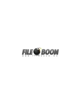 fileboom Премиум Про Аккаунт 18hoours 20GB