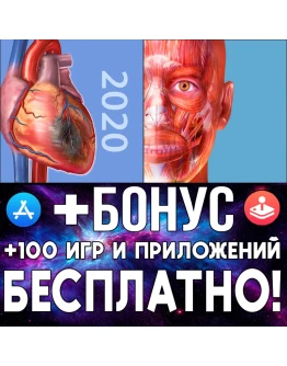 Physiology &amp Pathology + Muscles iPhone ios AppStore