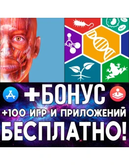 Muscles &amp Kinesiology + Visible Biology iPhone ios iPad