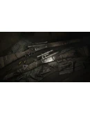 Hunt: Showdown - La Luz MalaSTEAM GIFT AUTORU+МИР