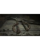 Hunt: Showdown Reap What You SowSTEAM GIFTRU+МИР