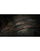 Hunt: Showdown - The LawlessSTEAM GIFT AUTORU+МИР