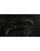 Hunt: Showdown - Double or NothingSTEAM GIFTRU+МИР