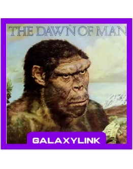 Dawn of Man - Steam Оффлайн