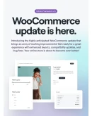 Vault 2.0.5 - Русификация премиум темы