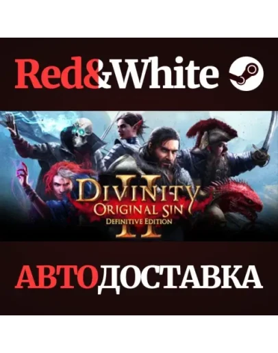 Divinity: Original Sin 2 * STEAM RU*KZ*UA*СНГ