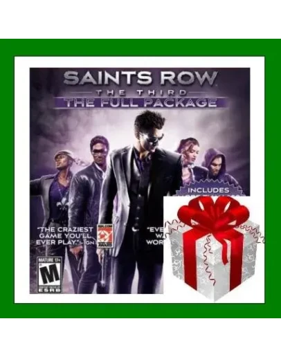 Saints Row The Third Full Package Steam Key Region Free