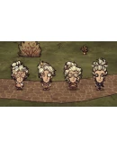 Don't Starve Together: Wanda Deluxe Chest DLC Don't Starve Together: Wanda Deluxe Chest DLC