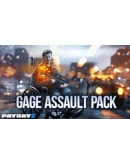 PAYDAY 2: Gage Assault Pack DLC * STEAMАВТОДОСТАВКА