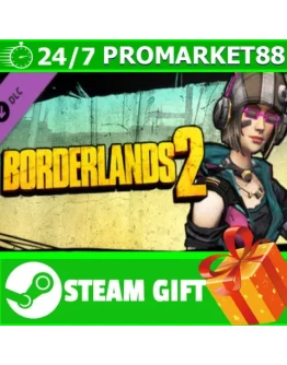 Borderlands 2: Mechromancer Beatmaster Pack STEAM