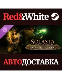 Solasta: Crown of the Magister - Primal Calling DLC