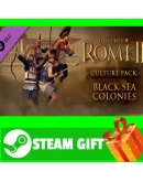 Total War ROME 2 Black Sea Colonies Culture Pack