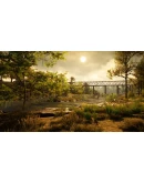 Straya * STEAM РОССИЯ АВТОДОСТАВКА 0 КАРТЫ