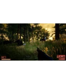 Straya * STEAM РОССИЯ АВТОДОСТАВКА 0 КАРТЫ