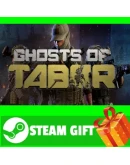 ВСЕ СТРАНЫ+РОССИЯ Ghosts of Tabor Steam Gift