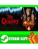 ВСЕ СТРАНЫ+РОССИЯ The Quarry Steam Gift