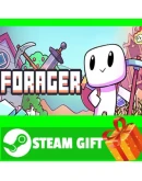 ВСЕ СТРАНЫ+РОССИЯ Forager Steam Gift