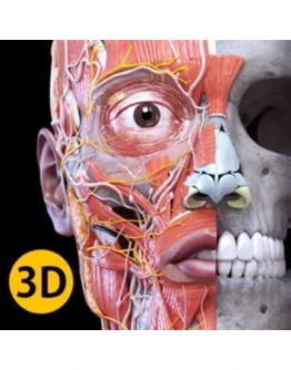 Анатомия - 3D Атлас Full Version Microsoft Store Анатомия - 3D Атлас Full Version Microsoft Store