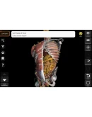 Анатомия - 3D Атлас Full Version Microsoft Store
