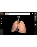 Анатомия - 3D Атлас Full Version Microsoft Store