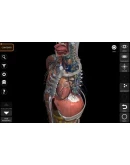 Анатомия - 3D Атлас Full Version Microsoft Store