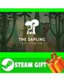 ВСЕ СТРАНЫ+РОССИЯ The Sapling Steam Gift