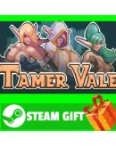 ВСЕ СТРАНЫ+РОССИЯ Tamer Vale Steam Gift