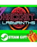 ВСЕ СТРАНЫ+РОССИЯ Hacknet - Labyrinths Steam Gift