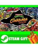 Teenage Mutant Ninja Turtles The Cowabunga Collectio