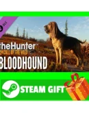 ВСЕ СТРАНЫ theHunter: Call of the Wild - Bloodhound