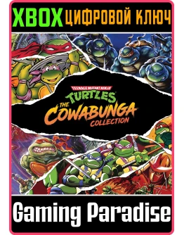 TEENAGE MUTANT NINJA TURTLES: THE COWABUNGA XBOX