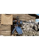 Alpine DLC * STEAM РОССИЯАВТОДОСТАВКА