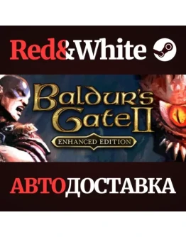 Baldur's Gate II: Enhanced Edition * STEAM RU