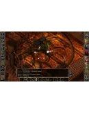 Baldur's Gate II: Enhanced Edition * STEAM RU