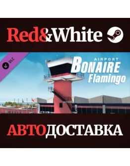 X-Plane 11 - Add-on: Aerosoft - Airport Bonaire Flaming