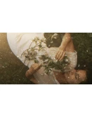 Movavi Video Editor 2024 - Timeless Pack DLC