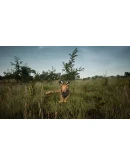 Animalia Survival EggHunt DLC * STEAMАВТОДОСТАВКА
