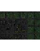 Screeps: World * STEAM РОССИЯАВТОДОСТАВКА