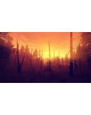 Firewatch * STEAM РОССИЯАВТОДОСТАВКА