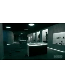 Westworld Awakening STEAMRU АВТОДОСТАВКА 0