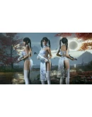 Bright Memory: Infinite Cheongsam (Blue Flowers) DLC Bright Memory: Infinite Cheongsam (Blue Flowers) DLC