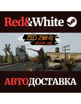 ZED ZONE * STEAM РОССИЯАВТОДОСТАВКА