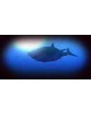 Feed and Grow: Fish * STEAM РОССИЯАВТОДОСТАВКА Feed and Grow: Fish * STEAM РОССИЯАВТОДОСТАВКА