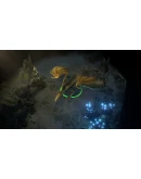 Pathfinder: Wrath of the Righteous * STEAM RU