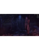 Sker Ritual - Friends in the Darkness DLC * STEAM RU