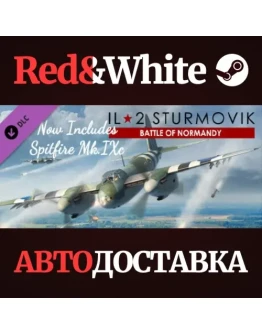 IL-2 Sturmovik: Battle of Normandy DLC * STEAM RU