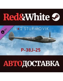 IL-2 Sturmovik: P-38J-25 Collector Plane DLC