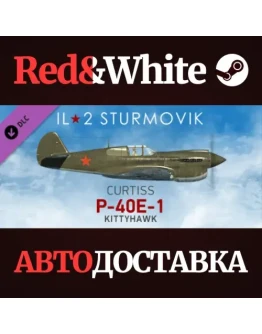 IL-2 Sturmovik: P-40E-1 Collector Plane DLC