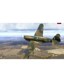 IL-2 Sturmovik: P-40E-1 Collector Plane DLC