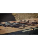 Way of the Hunter - Steyr Arms Pack DLC * STEAM RU Way of the Hunter - Steyr Arms Pack DLC * STEAM RU